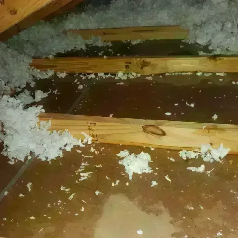 Attic Water Damage in Myrtle Point, OR