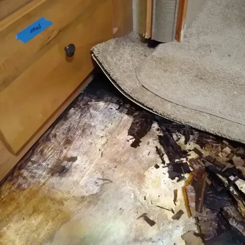 Wood Floor Water Damage in Myrtle Point, OR